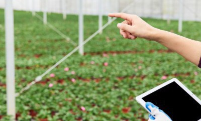 安博电竞·(中国区)官方网站