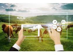 安博电竞·(中国区)官方网站