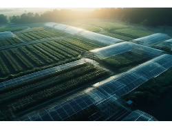 安博电竞·(中国区)官方网站