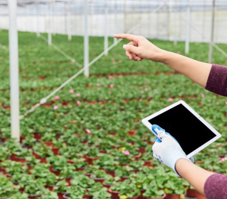 安博电竞·(中国区)官方网站